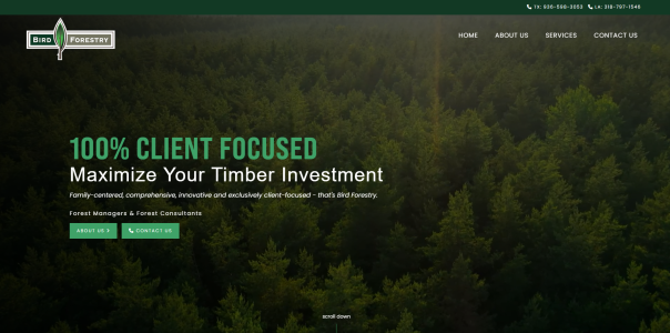 Bird Forestry