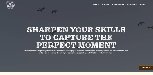 Birds In Flight Simulator