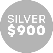 Silver Logo